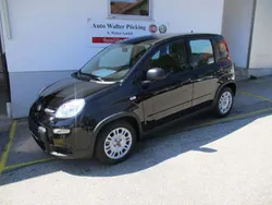 Schwarz Neu 2024 Fiat Panda Kleinwagen | 13.970 €