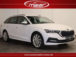 Candyweiss Gebraucht 2022 Skoda Octavia Ambition Kombi | 19.700 € (Superpreis)