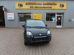 Schwarz Gebraucht 2023 Fiat Panda Kleinwagen | 11.490 € (Fairer Preis)