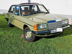 Grün Gebraucht 1983 Mercedes 200 Limousine | 12.000 €