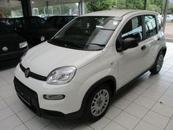Weiss Gebraucht 2024 Fiat Panda Limousine | 13.950 € (Etwas zu teuer)