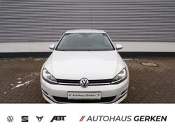 Weiß Gebraucht 2016 VW Golf VII Allstar Limousine | 13.490 € (Teuer)
