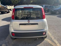 Schwarz Gebraucht 2019 Fiat Panda Easy Limousine | 9.500 € (Etwas zu teuer)