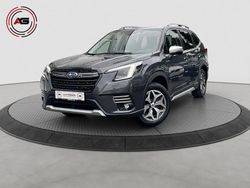 Grau Gebraucht 2024 Subaru Forester Active SUV | 34.900 € (Guter Preis)