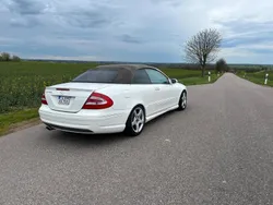 Weiß Gebraucht 2005 Mercedes CLK500 Cabrio | 8.000 €