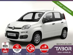 Weiß Neu 2025 Fiat Panda Kleinwagen | 13.748 € (Guter Preis)