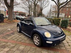 Blau Gebraucht 2003 VW Beetle Cabrio | 2.500 € (Guter Preis)