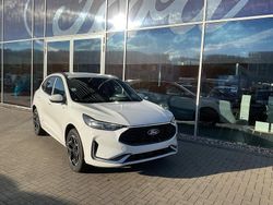 Frozen white weiß Neu 2025 Ford Kuga ST-Line X SUV | 46.990 € (Etwas zu teuer)