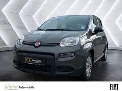 Grau Gebraucht 2023 Fiat Panda Kleinwagen | 12.885 € (Fairer Preis)