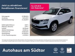 Moonweiss metallic Gebraucht 2024 Skoda Karoq Elegance SUV | 28.980 € (Superpreis)