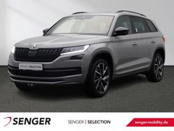 Grau Gebraucht 2021 Skoda Kodiaq SUV | 37.480 € (Teuer)