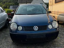 Blau Gebraucht 2005 VW Polo Kleinwagen | 1.300 € (Fairer Preis)