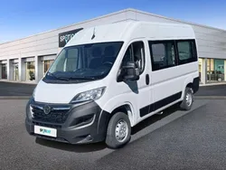 Cassablanca weiß Neu 2025 Opel Movano Van | 28.900 € (Superpreis)