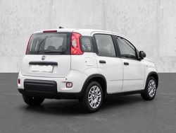 Weiß Neu 2025 Fiat Panda Limousine | 15.340 € (Fairer Preis)