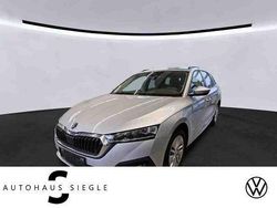 Silber Gebraucht 2021 Skoda Octavia Ambition Kombi | 18.480 € (Fairer Preis)