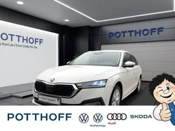 Candyweiß Gebraucht 2020 Skoda Octavia First Edition Kombi | 20.977 €