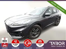 Grau Gebraucht 2021 Ford Kuga ST-Line X SUV | 20.488 € (Guter Preis)