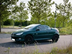 Grün Gebraucht 2003 Peugeot 206 CC Roland Garros Cabrio | 3.950 €