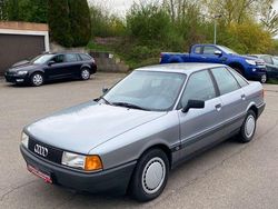 Grün Gebraucht 1987 Audi 80 Limousine | 2.999 €