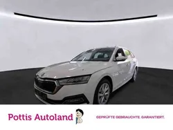 Weiss Gebraucht 2023 Skoda Octavia Style Kombi | 28.777 € (Guter Preis)