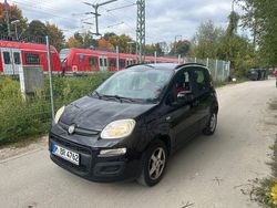 Schwarz Gebraucht 2012 Fiat Panda Lounge Kleinwagen | 4.500 € (Guter Preis)