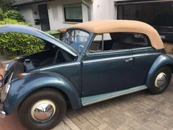 Blau Gebraucht 1959 VW Käfer Cabrio | 39.999 €
