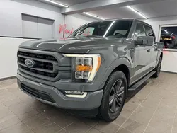 Foot grey Gebraucht 2021 Ford F-150 XLT Abholung | 43.990 € (Superpreis)