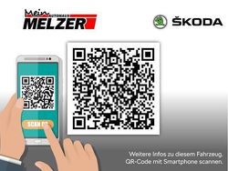 Grau Gebraucht 2024 Skoda Fabia Selection Limousine | 17.880 € (Fairer Preis)