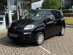 Cinema schwarz Neu 2025 Fiat Panda Kleinwagen | 13.970 € (Fairer Preis)