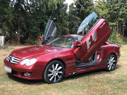 Rot Gebraucht 2002 Mercedes SL500 Cabrio | 22.900 €