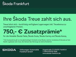 Blau Gebraucht 2025 Skoda Karoq Drive SUV | 31.480 € (Guter Preis)
