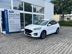 Weiß Gebraucht 2020 Ford Kuga ST-Line X SUV | 23.990 € (Teuer)