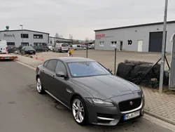Grau Gebraucht 2017 Jaguar XF R-Sport Limousine | 15.700 € (Fairer Preis)