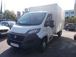 Weiß Gebraucht 2020 Fiat Ducato Van | 16.850 € (Fairer Preis)