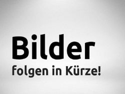 Grün Gebraucht 2019 Renault Twingo LIMITED Kleinwagen | 8.888 € (Fairer Preis)