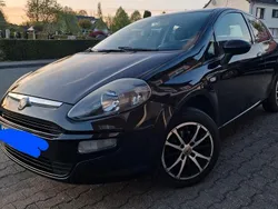 Schwarz Gebraucht 2011 Fiat Punto Kleinwagen | 2.300 € (Fairer Preis)