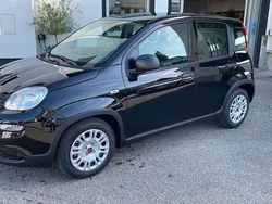 Schwarz Neu 2024 Fiat Panda Kleinwagen | 13.790 €