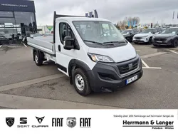 Weiß Neu 2024 Fiat Ducato S Van | 31.899 € (Fairer Preis)