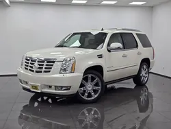 Weiß Gebraucht 2010 Cadillac Escalade SUV | 22.900 € (Superpreis)
