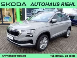 Steelgrau Neu 2024 Skoda Karoq Selection SUV | 35.890 € (Etwas zu teuer)