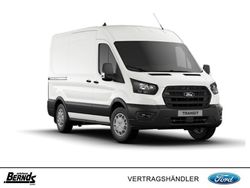 Frozen white Neu 2025 Ford Transit Trend Abholung | 41.650 € (Etwas zu teuer)
