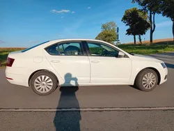 Weiß Gebraucht 2019 Skoda Octavia Active Limousine | 11.900 € (Fairer Preis)