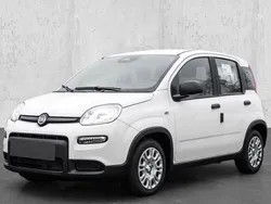Weiss Neu 2025 Fiat Panda Kleinwagen | 19.024 €