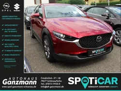 Rot Gebraucht 2020 Mazda CX-30 Selection SUV | 19.999 € (Guter Preis)