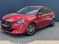 Rot Gebraucht 2023 Peugeot 208 Active Kleinwagen | 16.500 € (Guter Preis)