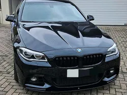 Blau Gebraucht 2014 BMW 550 Performance Limousine | 43.000 €