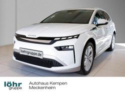 Weiß Gebraucht 2025 Skoda Enyaq iV SUV | 51.550 € (Fairer Preis)