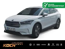 Weiß Gebraucht 2025 Skoda Enyaq iV SUV | 51.960 € (Fairer Preis)