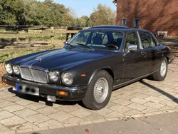 Grau Gebraucht 1986 Jaguar XJ12 Sovereign Limousine | 14.750 €