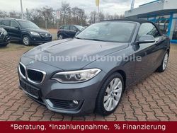 Grau Gebraucht 2015 BMW 220 Advantage Cabrio | 12.690 € (Fairer Preis)